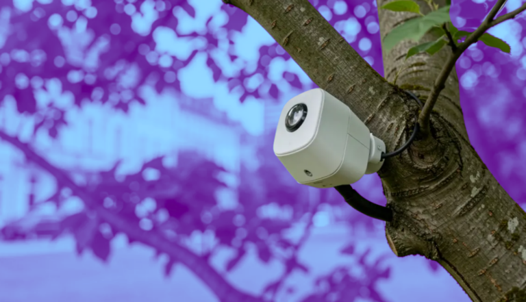 Madrid utiliza inteligencia artificial para identificar aves y murciélagos en sus parques